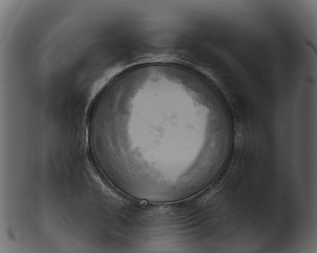 X0000100481414200807031841