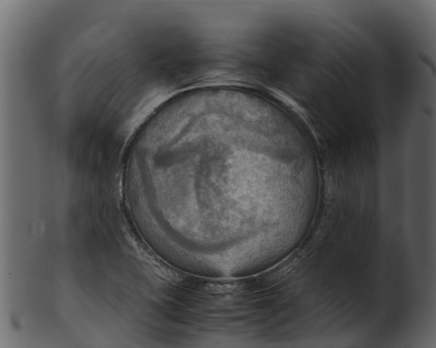 X0000100481415200807031841