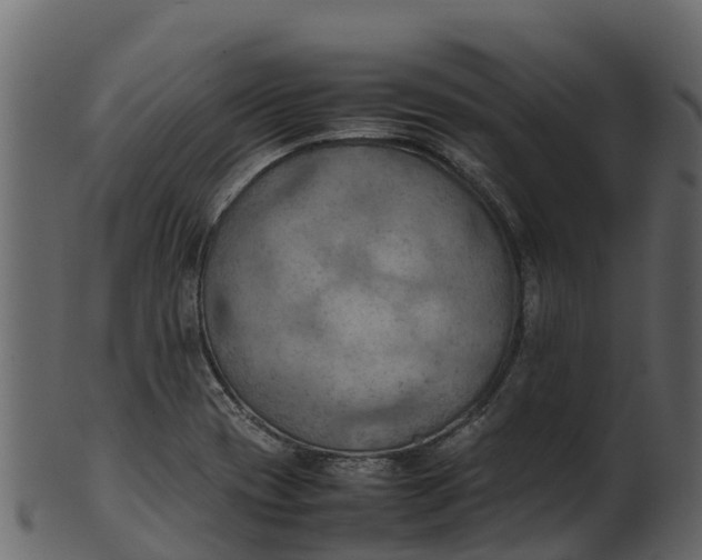 X0000100481417200807031841