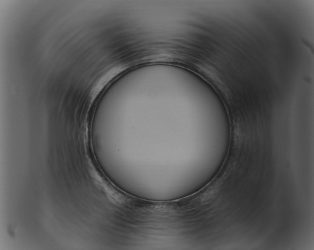 X0000100481418200807031841