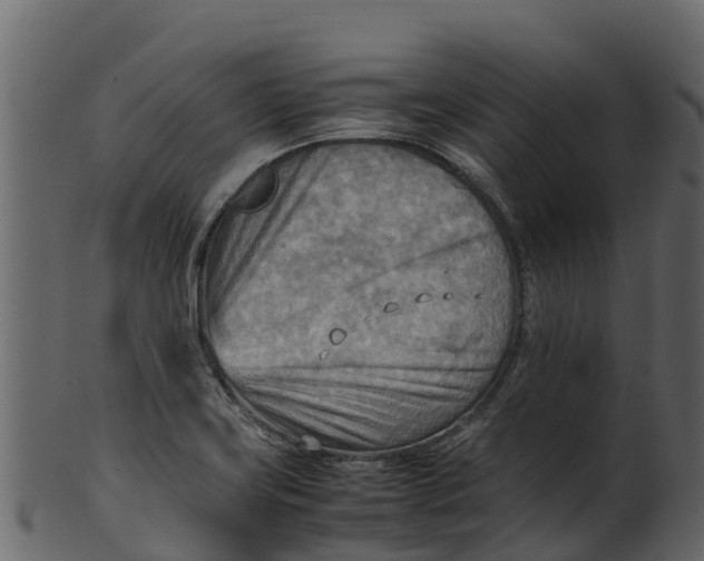 X0000100481419200807031841