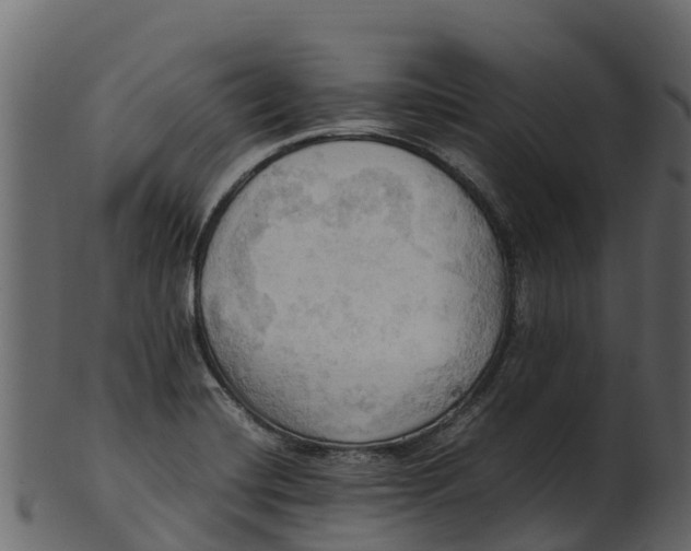 X0000100481420200807031841