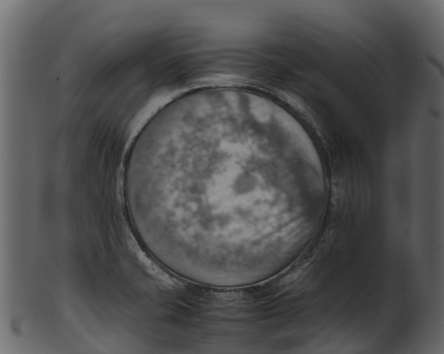 X0000100481421200807031841