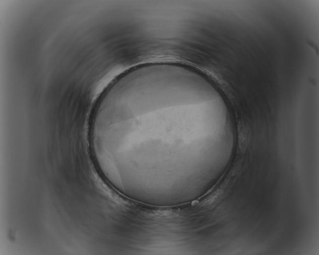 X0000100481422200807031841