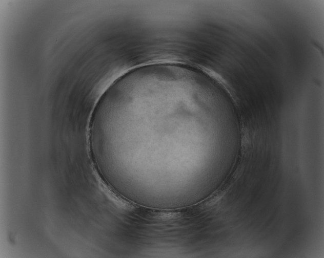 X0000100481423200807031841