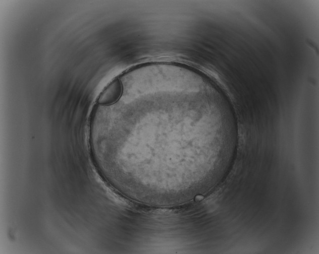 X0000100481424200807031841