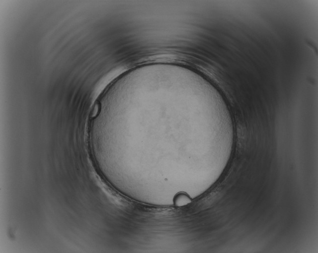 X0000100481426200807031841