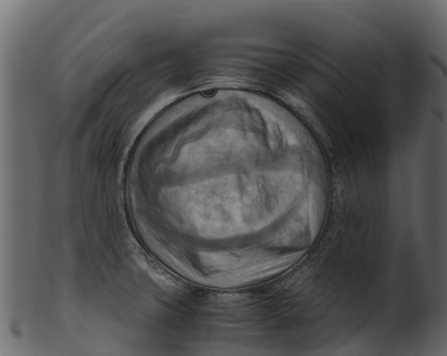 X0000100481427200807031841