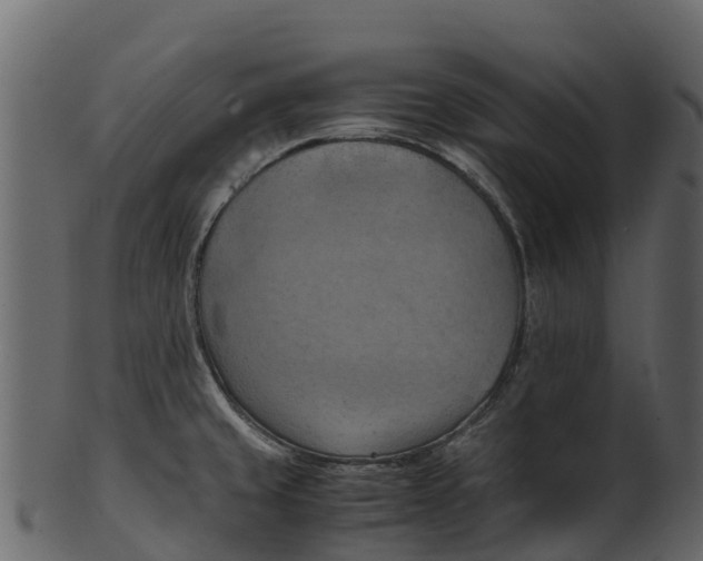 X0000100481429200807031841