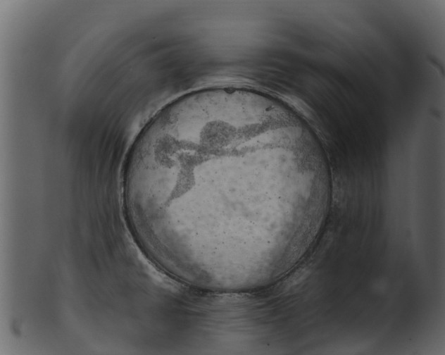 X0000100481430200807031841