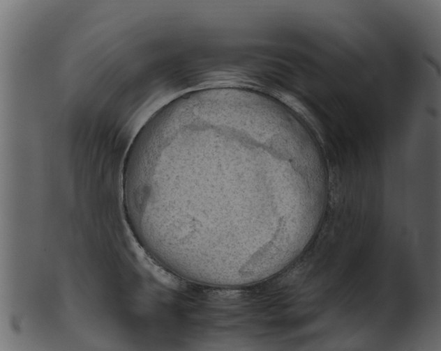 X0000100481431200807031841