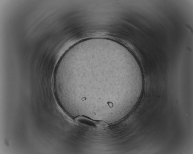 X0000100481432200807031841