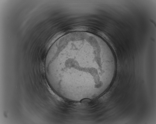 X0000100481433200807031841