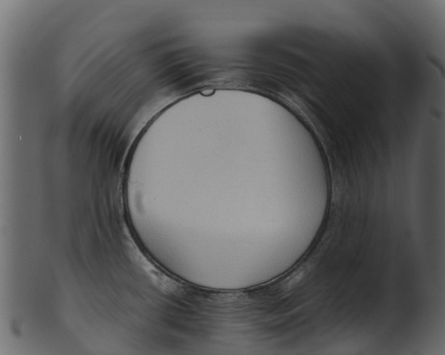 X0000100481434200807031841