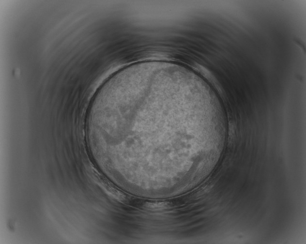 X0000100481435200807031841