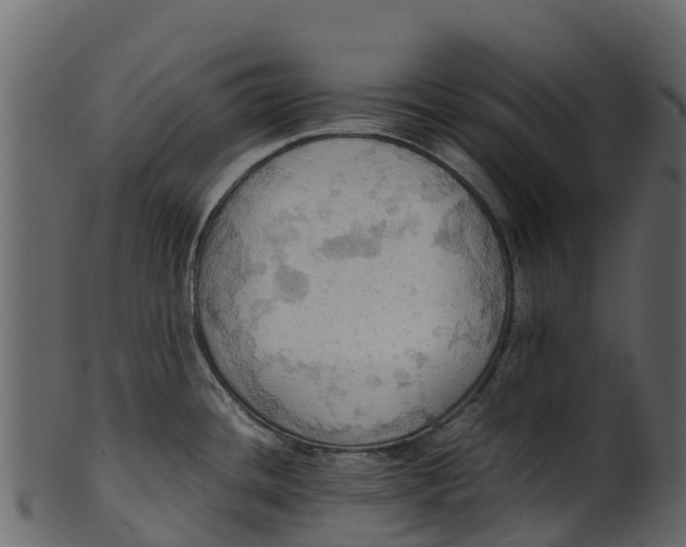 X0000100481436200807031841