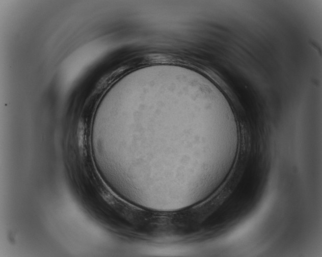 X0000100481438200807031841