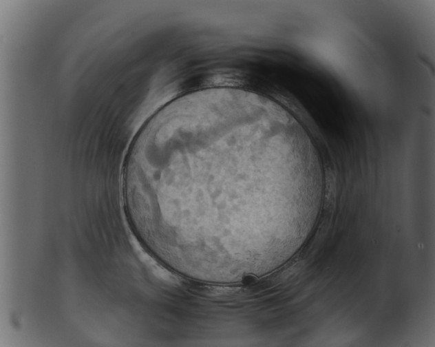 X0000100481439200807031841