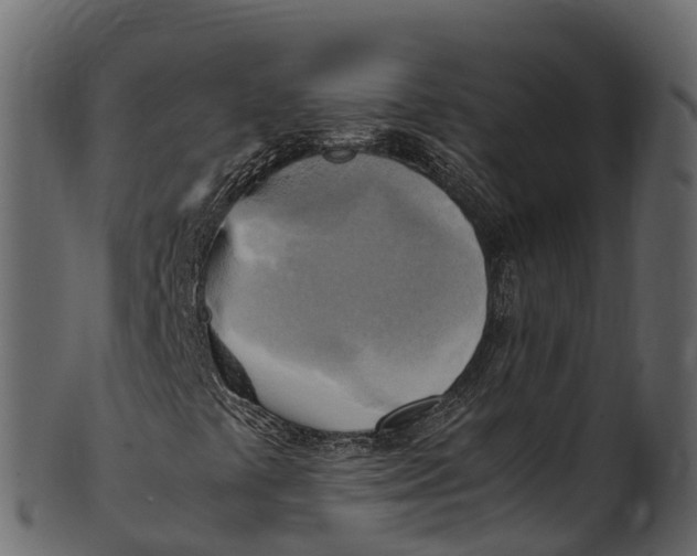 X0000100481441200807031840