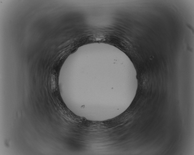 X0000100481442200807031840