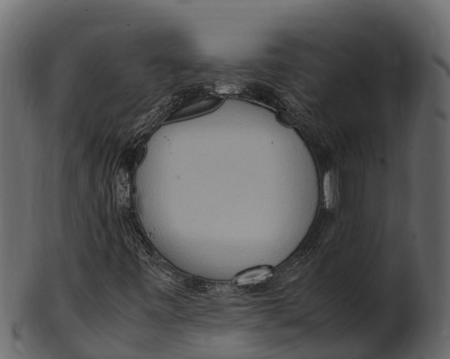 X0000100481443200807031840