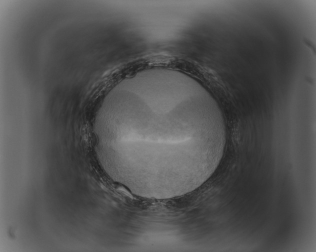 X0000100481445200807031840