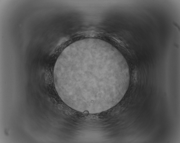 X0000100481446200807031840