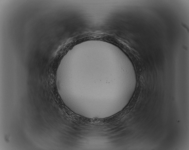 X0000100481447200807031840