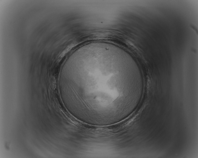 X0000100481449200807031840