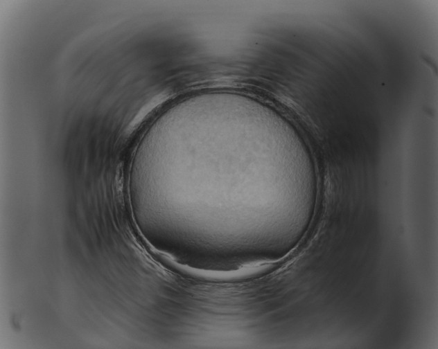 X0000100481450200807031840