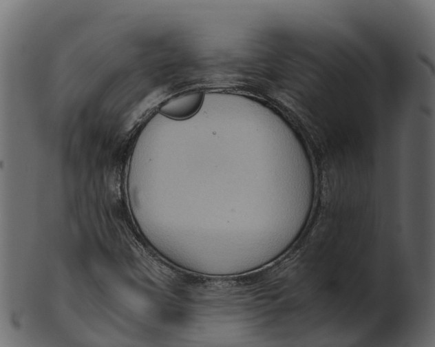 X0000100481451200807031840