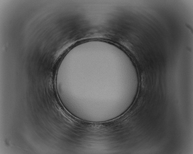 X0000100481452200807031840