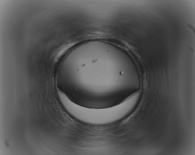 X0000100481453200807031840