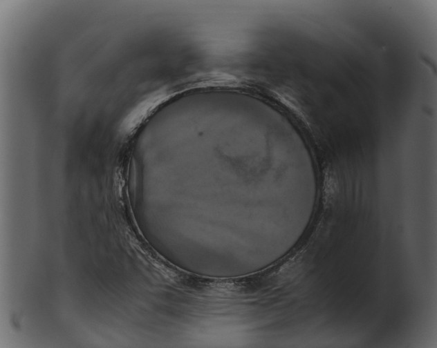 X0000100481455200807031840