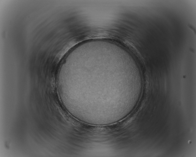 X0000100481457200807031840