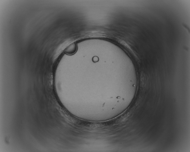 X0000100481461200807031840