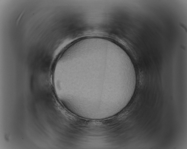 X0000100481462200807031840