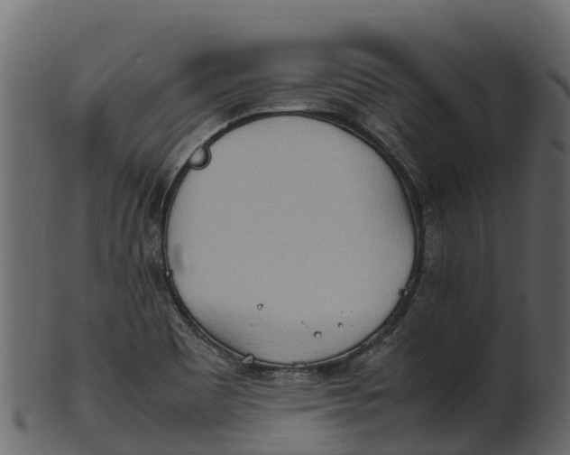 X0000100481465200807031840