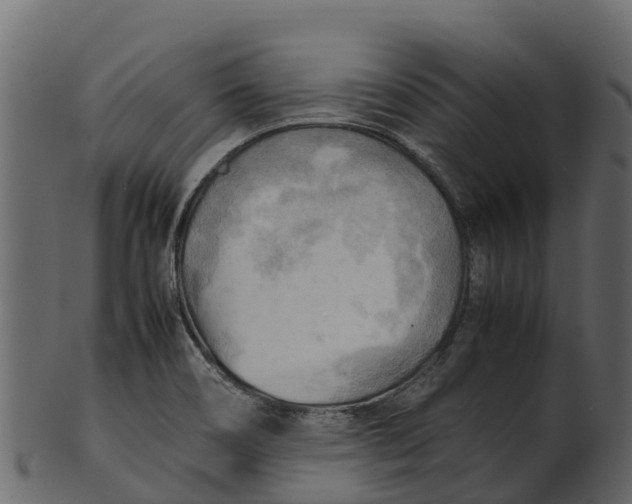 X0000100481466200807031840