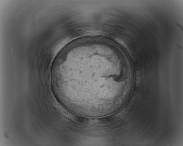 X0000100481467200807031840