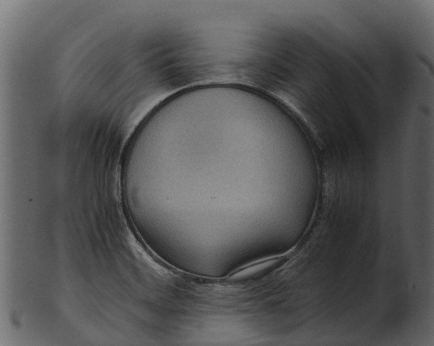 X0000100481468200807031840