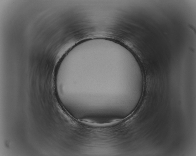 X0000100481469200807031840