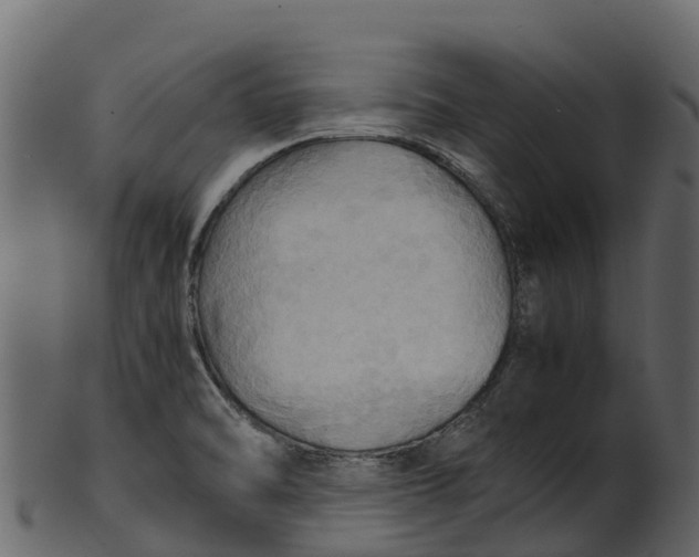 X0000100481470200807031840