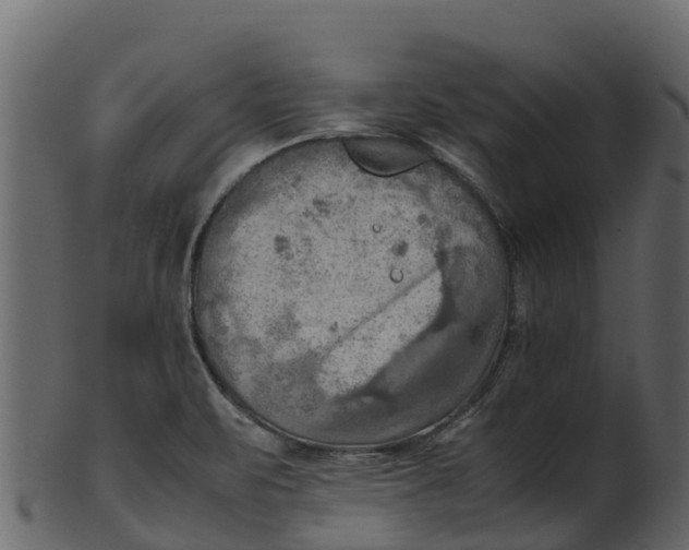 X0000100481471200807031840