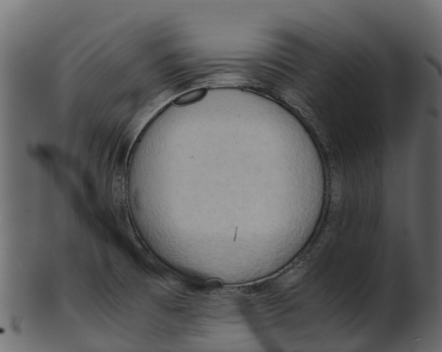 X0000100481473200807031840