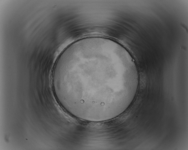 X0000100481474200807031840