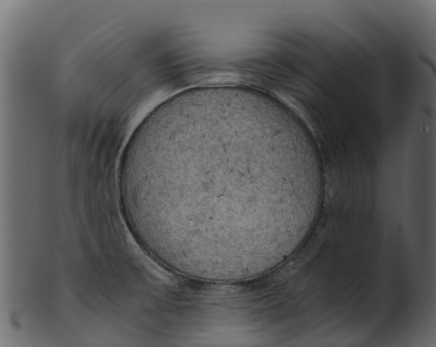 X0000100481475200807031840