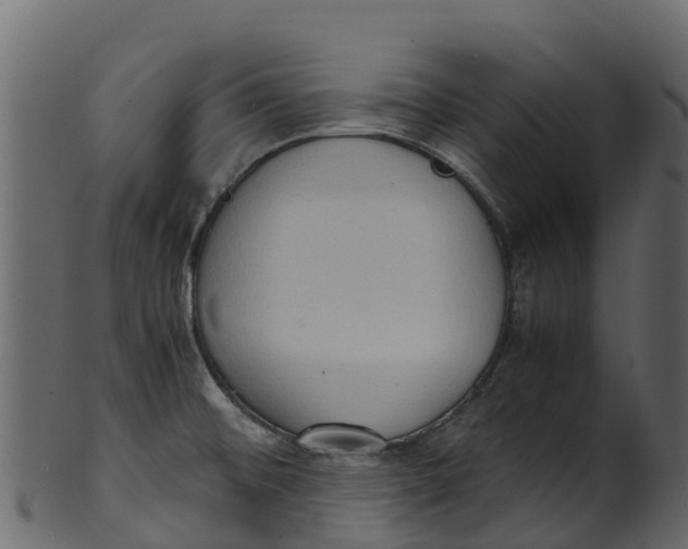 X0000100481476200807031840