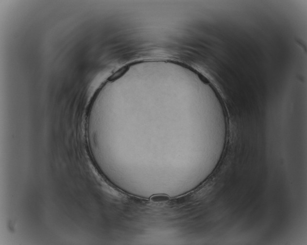 X0000100481477200807031840