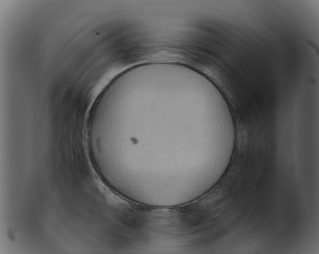 X0000100481478200807031840